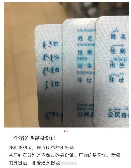 一个宿舍四款身份证 舍友来自五湖四海 相聚也是有缘