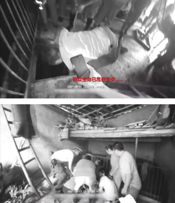 忧心！派出所所长跳化粪池救人中毒昏迷 现在情况怎么样？