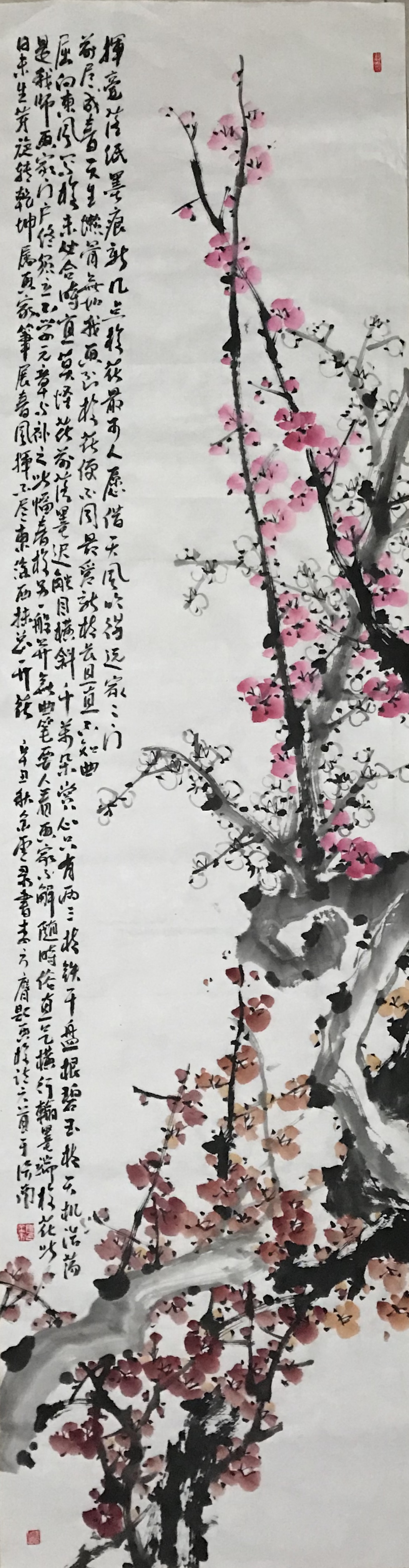 “花开盛世”马金虎花鸟画展将于9月30日在济南府学文庙开展