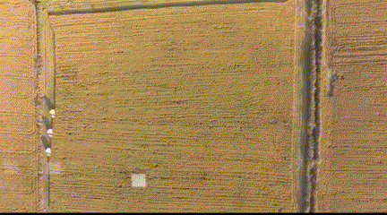 每到中秋节，泉水人家的金黄田野里尽是稻香……