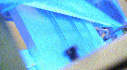 每到中秋节，泉水人家的金黄田野里尽是稻香……