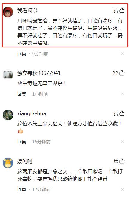 男子被毒蛇咬后教科书式自救，现场发生了什么？