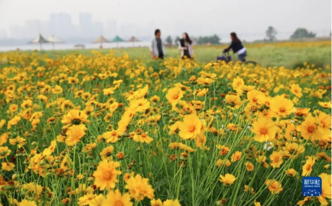 人人都说沂蒙山好，究竟好在哪？——聆听沂蒙山小调看今昔