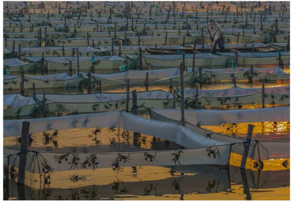 全国网围养殖第一湖被“记”下“三笔账”后