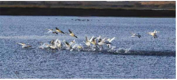 全国网围养殖第一湖被“记”下“三笔账”后