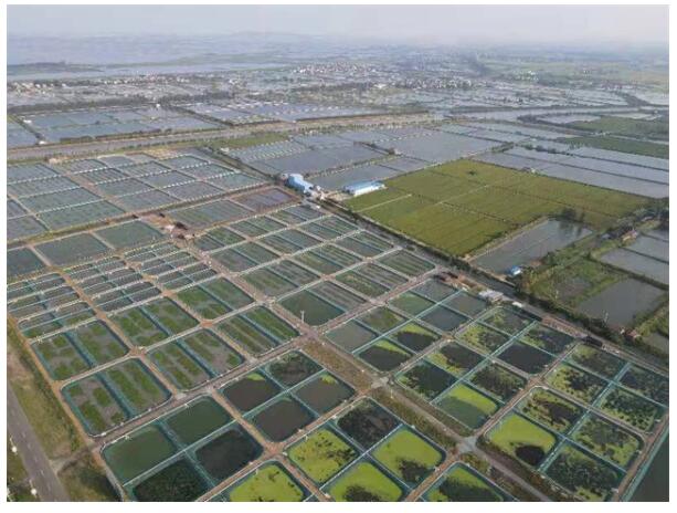 全国网围养殖第一湖被“记”下“三笔账”后