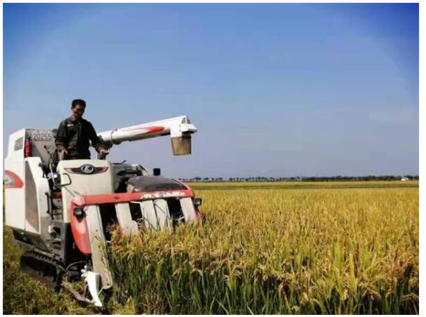 全国网围养殖第一湖被“记”下“三笔账”后