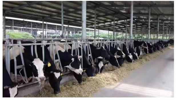 全国网围养殖第一湖被“记”下“三笔账”后