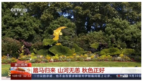 向日葵、什锦菊……各地景观扮靓国庆节 大街小巷氛围浓