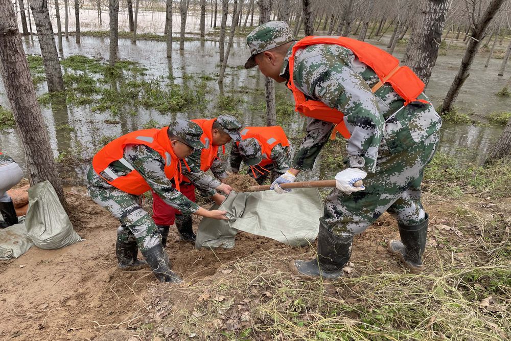 新华全媒+丨山东：筑牢黄河防汛安全堤