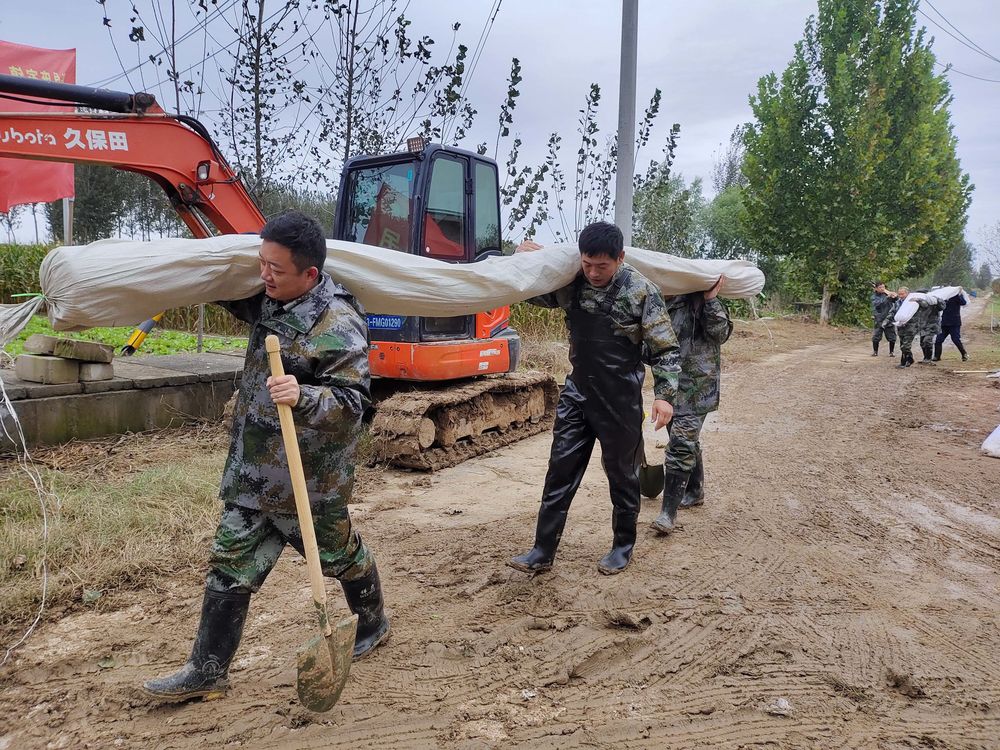 新华全媒+丨山东：筑牢黄河防汛安全堤