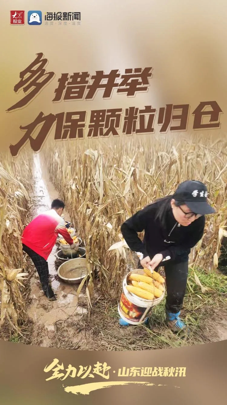 【这就是山东·战秋汛】全力以赴！山东迎战秋汛