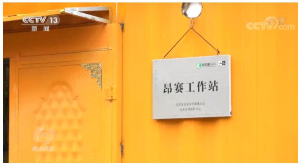 焦点访谈:我与雪豹做邻居