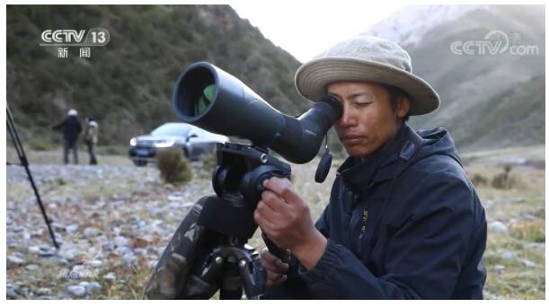 焦点访谈:我与雪豹做邻居