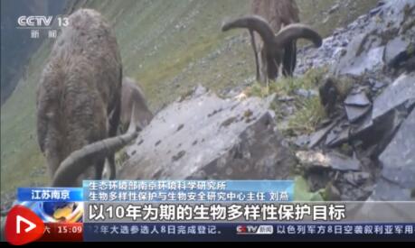 划重点！什么是《生物多样性公约》？“爱知目标” 中国履约成绩如何？来听专家解读→