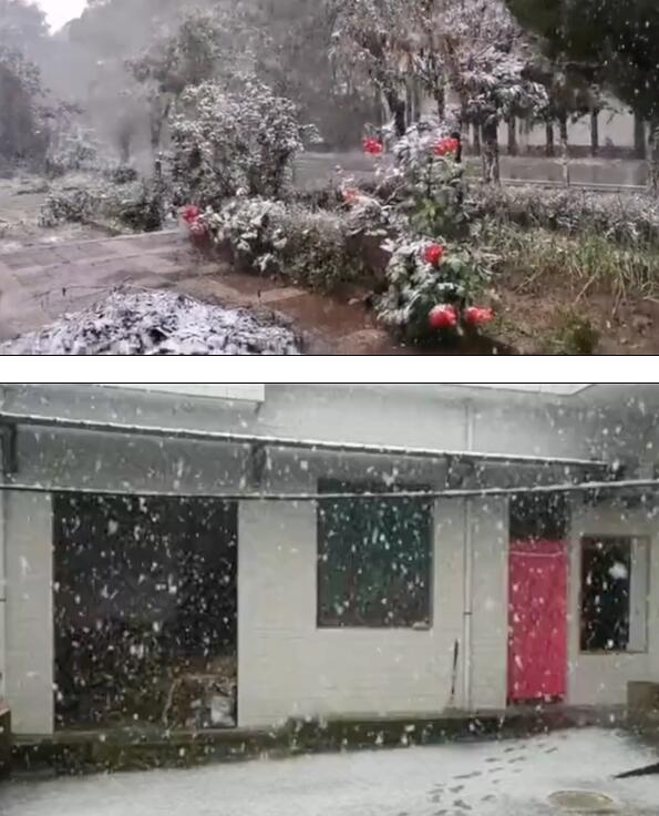 2021年的第一场雪！陕西多地下雪 居民提前穿棉衣【图】