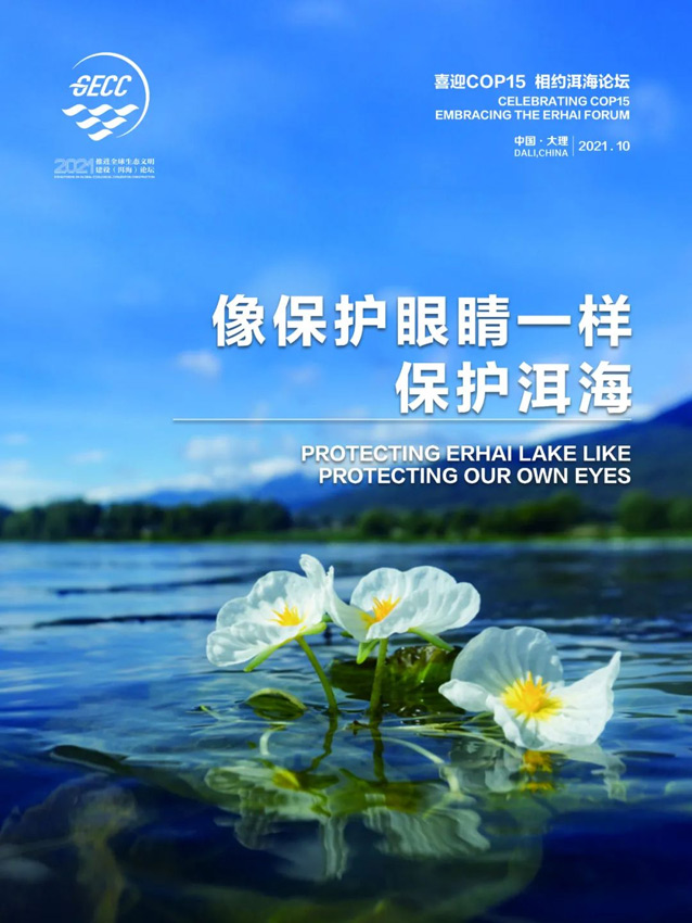 洱海论坛开幕！世界的目光再次聚焦大理