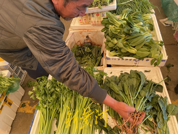 多种蔬菜售价翻番：菠菜12元/斤，从炒菠菜“降级”菠菜汤