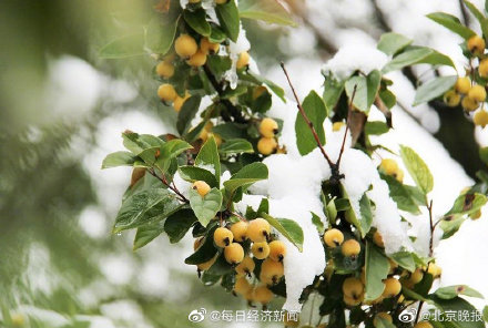 【全国多地迎入秋后首场降雪】陕西多地下雪 居民提前穿棉衣 最低温将逼近0℃