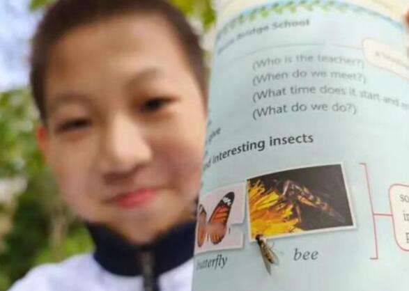 把食蚜蝇当蜜蜂？官方回应12岁男孩给英语教材纠错 具体是咋回事？