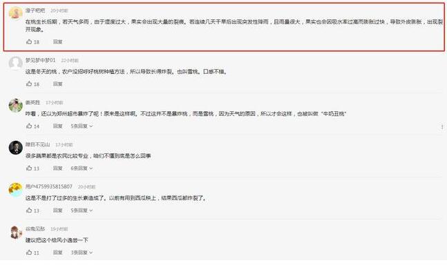 真香警告！女子买“爆炸桃”回家被妈妈嫌弃 具体是什么原因导致的？