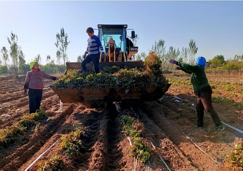 山西：众志成城挺过艰难时刻  全力以赴恢复美好家园