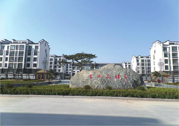 齐河之变——当“黄河咽喉”遇上生态保护和高质量发展