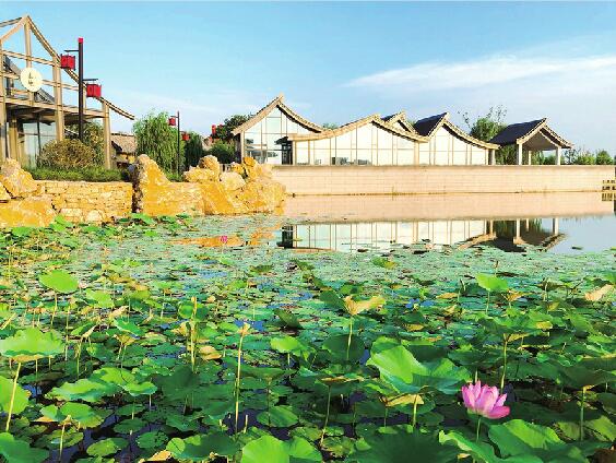 齐河之变——当“黄河咽喉”遇上生态保护和高质量发展