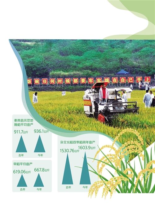 双季稻每亩产量连续两年超攻关目标 意味着什么？