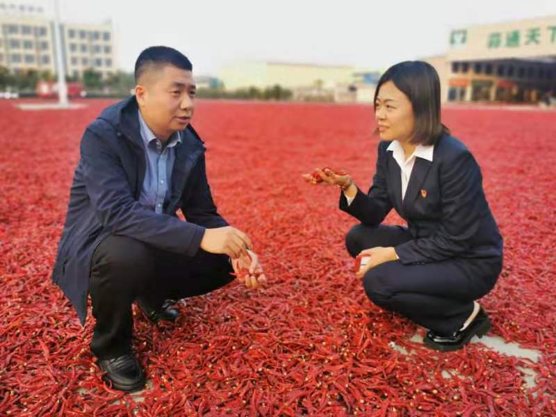 银保合作织密链式金融服务 擦亮“金乡大蒜”金字招牌