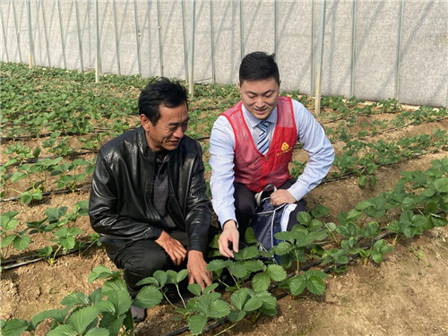 金融活水丰润乡村底色