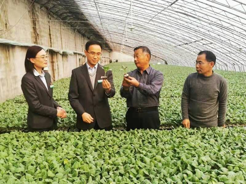 农业银行枣庄分行：特色信贷助力乡村人才振兴