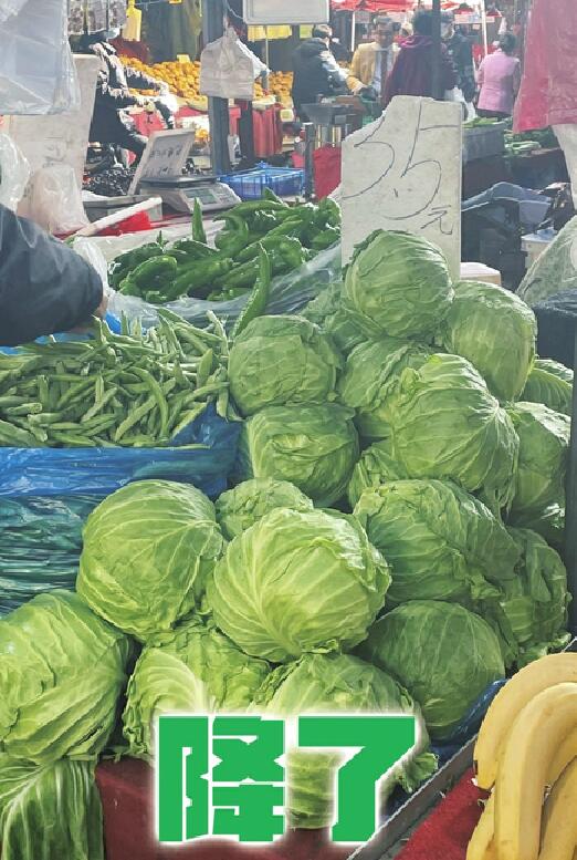 断茬结束，菜价明显下降，有批发商预测价格还能继续下降 最近做饭，又开始享受“放菜自由”了