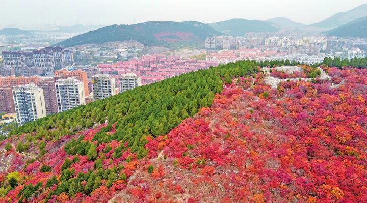 半山青翠半山红