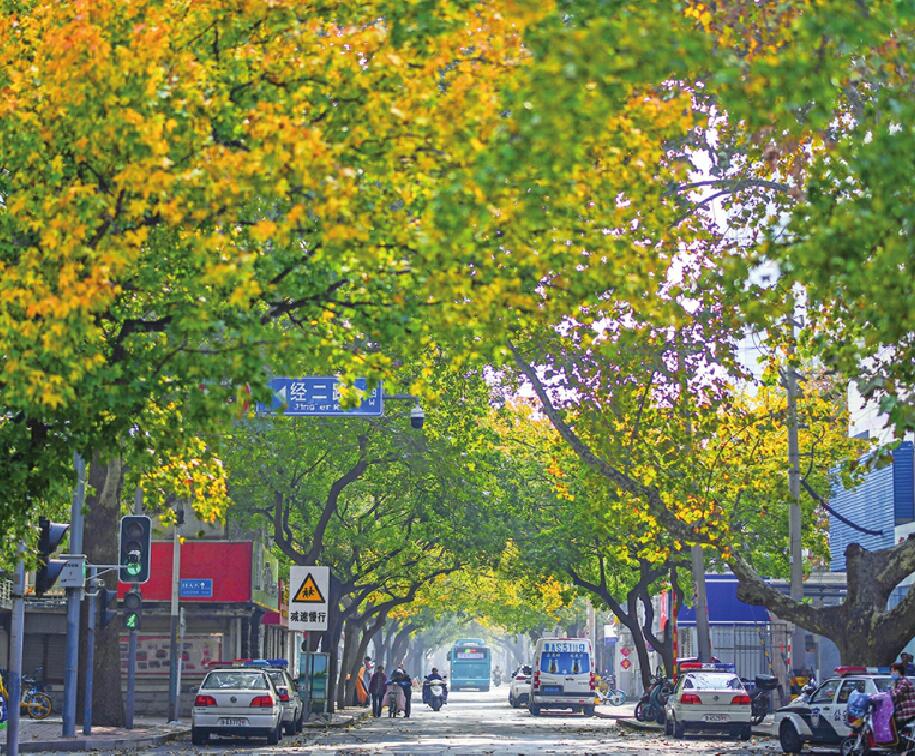 新生代网红马路再添新“姿色”