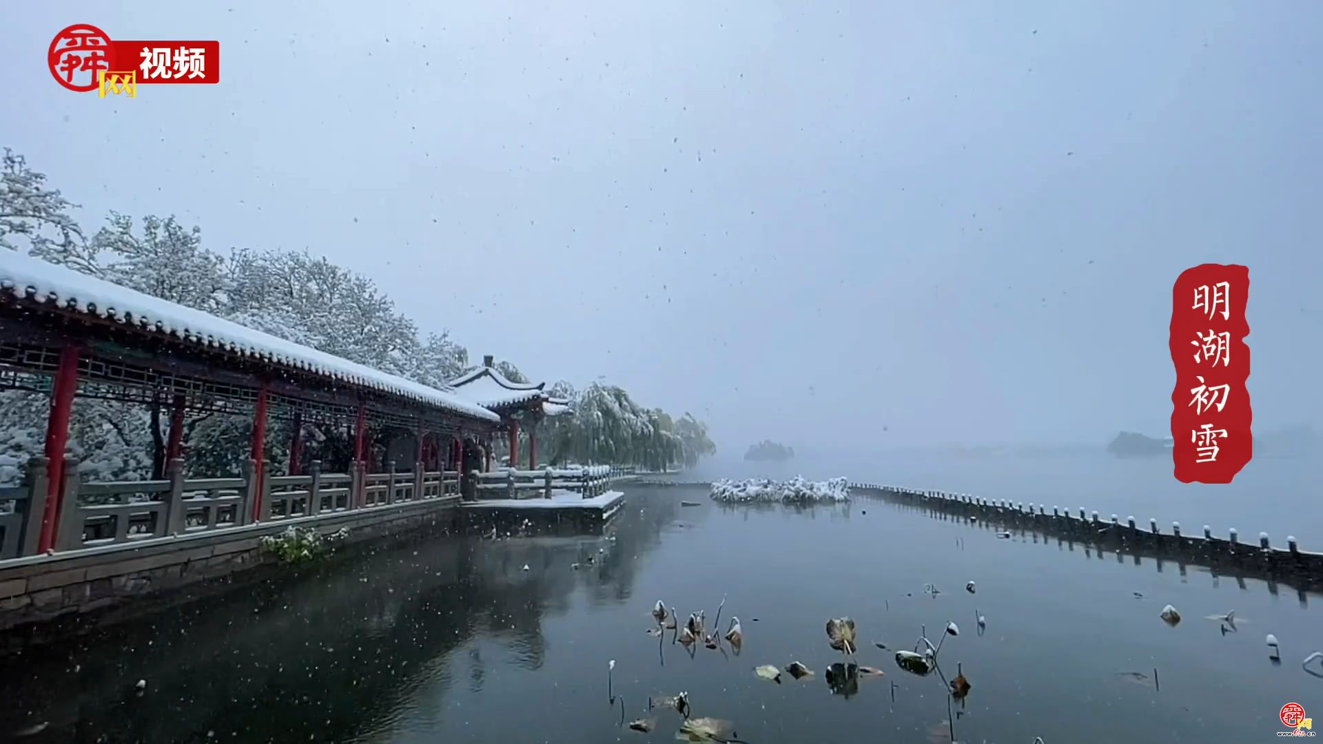 2021年刷爆朋友圈的第一场雪，泉城美景你心动了吗？