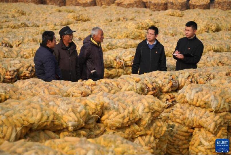 不可逆转的历史进程——从以习近平同志为核心的党中央引领新时代变革性实践看实现中华民族伟大复兴