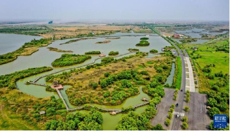 不可逆转的历史进程——从以习近平同志为核心的党中央引领新时代变革性实践看实现中华民族伟大复兴