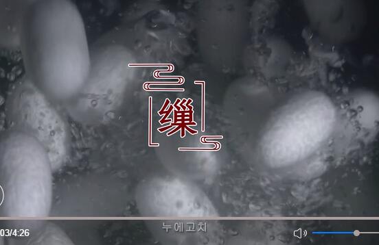 [신화망 기획 영상] 천년 역사의 쑤저우 자수