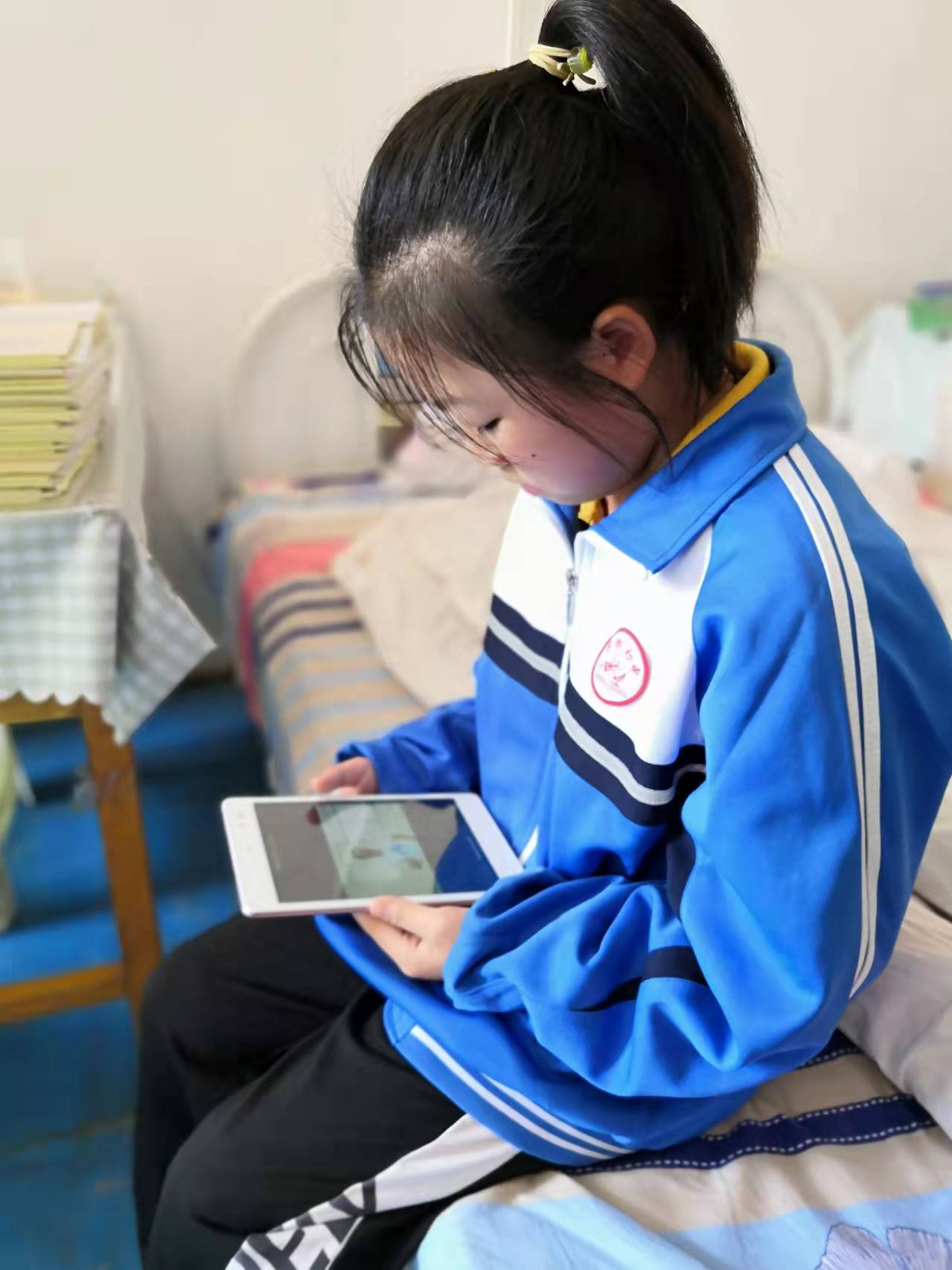 “小海豚计划” 守护11万名困境儿童的七彩童年