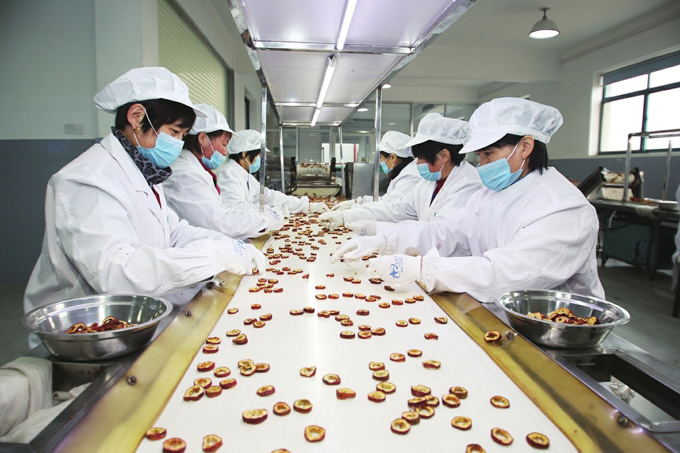 莱芜区七成农民成产业链工人 ——乡村振兴的莱芜实践系列报道之二