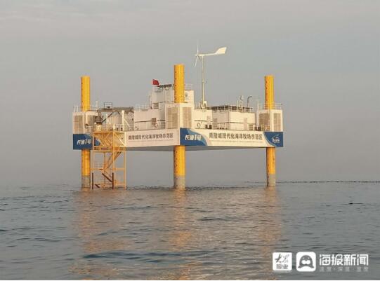 奋力走在前丨从一无所有到世界领先 中集来福士造的“大国重器”是如何火“出圈”的