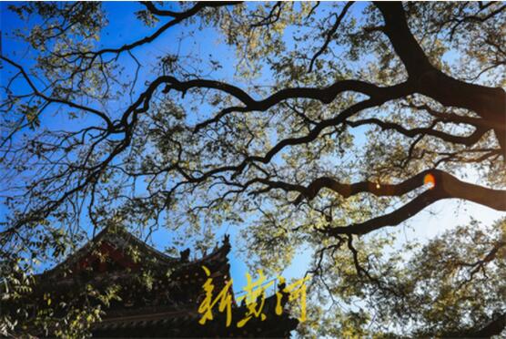 优秀文化“潮起”千年古城蓬莱