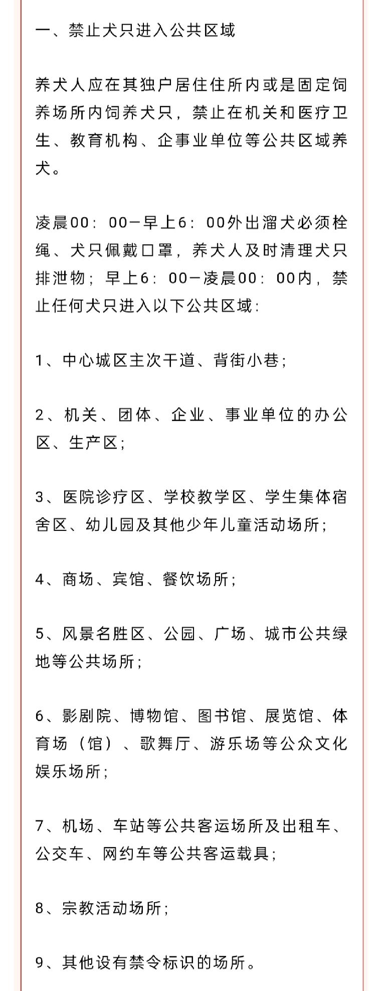 城市“人犬矛盾”频发 云南昭通发布“最严限狗令”