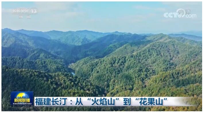 福建长汀：从“火焰山”到“花果山”