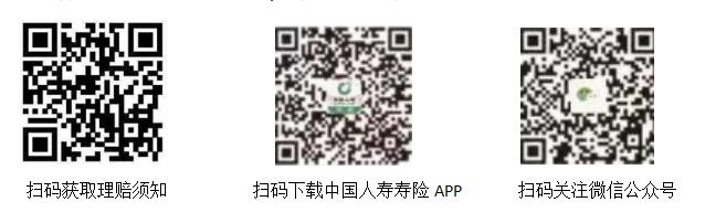 中国人寿：理赔有速度，服务有温度