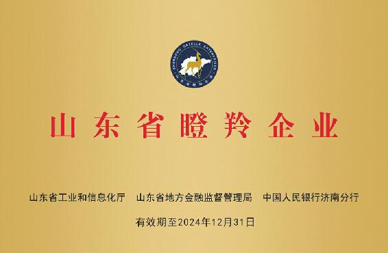 2021年度山东省“专精特新”中小企业、山东省瞪羚企业 佳联电商：发力科技新基建连捧“金字招牌”