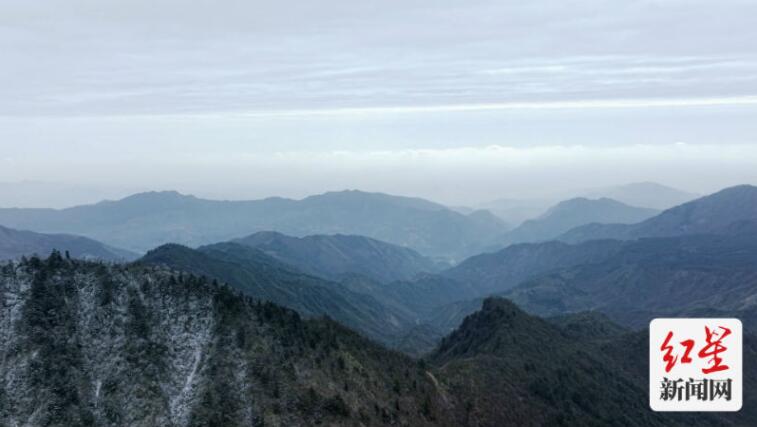 山魂——大熊猫国家公园里的守山人