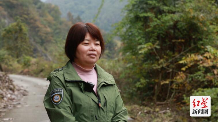 山魂——大熊猫国家公园里的守山人