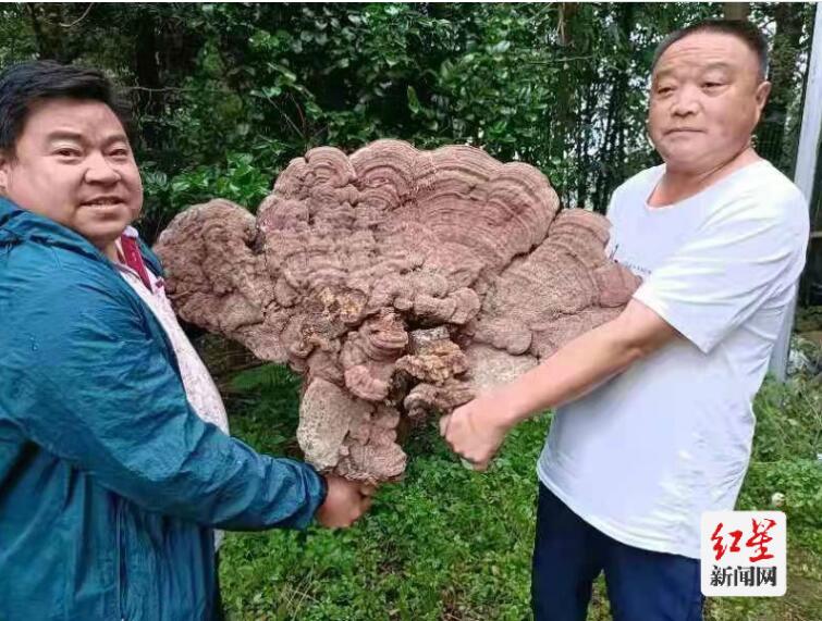 山魂——大熊猫国家公园里的守山人